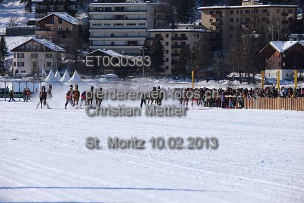 ET0Q0383 prot